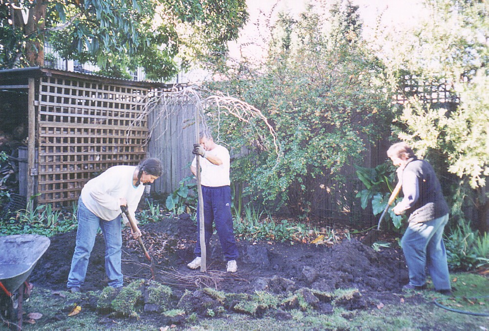 013 Planting Weeping Elm July 2003 - Sandy Pullman, Frank Coppens, Shelley Wood