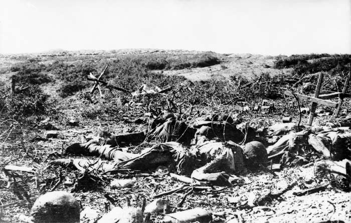 Dead Australian Soldiers, Krithia, 1915